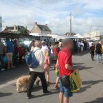 Grandcamp Maisy - Le marché du dimanche en saison